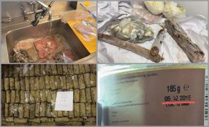 Produse mucegăite, expirate din 2015, şi peşti uitaţi în gheaţă şi sânge luni de zile, în meniurile din Delta Dunării