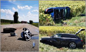 Două maşini s-au izbit în plin şi au aterizat în lanul de floarea soarelui, la Dărmăneşti. Trei copii şi şase adulţi erau în autoturisme