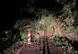 Avalanşă de stânci pe DN 17B, în Suceava. Şoferii s-au trezit cu bolovani şi copaci în faţa maşinilor, căzuţi de pe versant