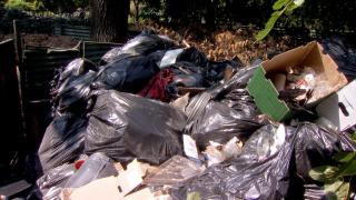 Parcurile din Bucureşti au devenit adevărate focare de infecţie, iar autorităţile nu găsesc soluţii pentru reabilitarea lor: "E îngrozitor. E cea mai mare mizerie pe care am văzut-o"