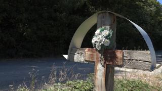 Pădurea blestemată de la Boz, locul din România în care noaptea s-ar auzi voci bizare şi zgomote ciudate: "În fântâna aia se aruncau şi oameni"