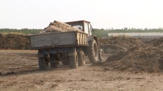 Mormane de ilegalităţi la Galaţi. Fermierii descarcă maldăre de găinaţ la doi paşi de păsările moarte şi îngropate. Autorităţile se contrazic în declaraţii