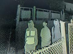 Trei adolescenţi, filmaţi cum fură un ATV din garajul unei case, în Lupeni. 1000 de euro recompensă, pentru prinderea hoţilor