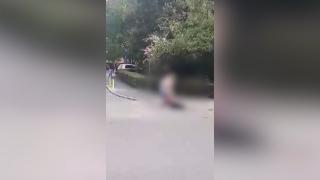 Tânără snopită în bătaie, pe o stradă din Târgu Jiu. Fata a fost lovită fără milă cu pumnii și picioarele, sub ochii trecătorilor