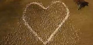 Gestul inedit al unui australian, la înmormântarea mătușii. Imaginile au devenit virale pe rețelele sociale