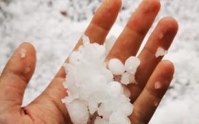 Fermierii suceveni sunt la capătul răbdării. Cer instalarea unui sistem antigrindină după ce vremea rea le-a distrus livezile