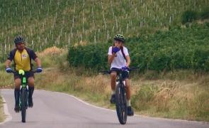 Podgoriile Drăgășanilor din "Toscana României", raiul pasionaților de vin și ciclism