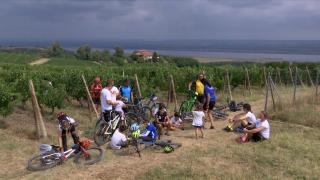 Ciclism pe drumul viilor în "Toscana" României. Pasionaţii de natură, atraşi cu un tur al podgoriilor, pe bicicletă