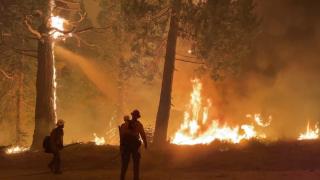 Sute de kilometri pătraţi de pădure, mistuiți de flăcări în California. Incendiul uriaș amenință o importantă zonă turistică