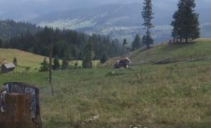 Traseu turistic impresionant, în inima Bucovinei. Mâncăruri ciobăneşti tradiţionale la stâna din vârful munţilor Suhard