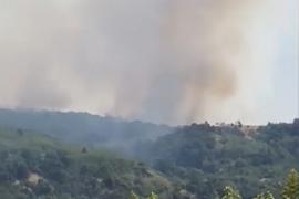 Un nou incendiu de vegetație la Hinova, în Mehedinți. Arde o pădure