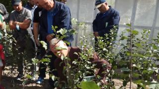 Au lăsat în urmă orașul pentru un trai simplu, la sat, cu tot cu provocările vieții la țară. Tot mai mulți amatori se înghesuie la cursuri de pomicultură