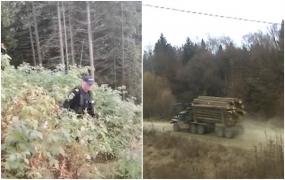 Cei care i-au bătut pe jurnalişti şi pe activistul de mediu, eliberaţi şi puşi sub control judiciar