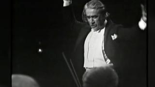 Fiul lui Sergiu Celibidache, despre filmul Cravata galbenă în care va juca actorul John Malkovich: Pentru tata a fost un fel de dor de ţară