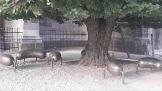 Băncile atipice din centrul Braşovului, asemănate cu ghinde sau cârnaţi. Obiectele "misterioase" din curtea Bisericii Negre pun la încercare imaginaţia trecătorilor