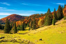 După un episod de frig, vremea se încălzește brusc la final de săptămână. Vom avea temperaturi de 30 de grade Celsius