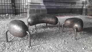 Noile bănci amplasate în curtea Bisericii Negre din Braşov au stârnit valuri de ironii şi controverse din cauza formei lor