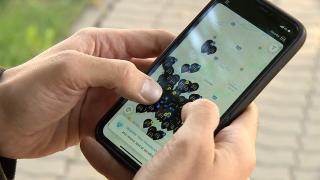 Maşini electrice la preţ de taxi. Aplicaţiile de car sharing, o alternativă care salvează timp şi bani pentru şoferii bucureşteni