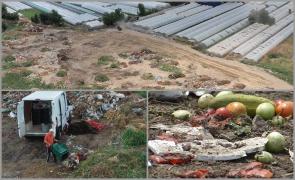 Faimoasa roşie de Izbiceni, din mijlocul gunoaielor, pe mesele românilor. Crescută cu apă contaminată, în pământ cu de 6 ori mai mult plumb decât limita normală