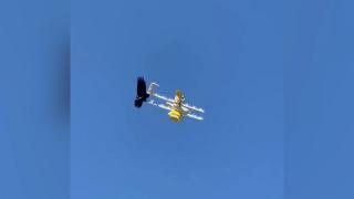 Drone de livrări, atacate de corbii supăraţi. Compania a luat decizia să sisteze temporar serviciul, în Australia