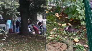 Un pacient s-a aruncat de la etajul 9 al Spitalului Județean din Timișoara. Era internat la secția de Neurologie, unde geamurile sunt securizate