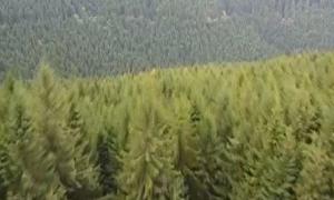 Pandemia a schimbat obiceiurile turistice ale românilor: La plimbare în mijlocul naturii