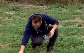 Un sătmărean de 27 de ani şi-a pariat toţi banii strânşi pe o cultură de şofran, cel mai scump condiment din lume