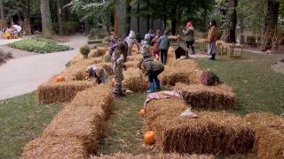 Pregătiri pentru sezonul rece: Zeci de elevi de grădiniţă au participat la ziua recoltei, unde au învăţat obiceiuri şi tradiţii româneşti