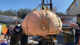 Dovleac de aproape o tonă, vedeta unui concurs anual din California. Bostanul uriaș a fost premiat cu aproape 20.000 de euro