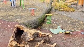 La un pas de nenorocire: Încă un copac s-a prăbuşit din senin în Capitală. De data aceasta peste un loc de joacă