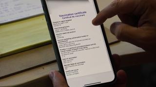 Sute de persoane, cercetate pentru falsificarea de certificate verzi și teste COVID, ar putea ajunge după gratii. Avertismentul ministrului Bode