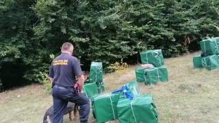 Cum a fost trecut peste graniţă un munte de pachete de ţigări. Cărăuşii, urmăriţi o săptămână de o echipă Observator