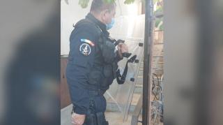 O familie din Arad, terorizată de propriul câine. Jandarmii chemaţi prin 112 au folosit tehnici de luptă: au intrat cu scuturile în curte