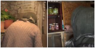 Istoria milenară a satului Brezovia, înălţat pe ruinele unui fost castru roman. În pivniţa de murături a bunicii Graţiana se afla odinioară tezaurul legiunii