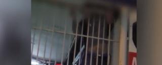 Ghinion pentru un bărbat din Bacău care a mers la furat. A rămas cu mâna blocată în gardul de protecţie