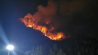 O pădure din Bacău arde de trei zile. Un avion Spartan s-a alăturat astăzi misiunii dificile a pompierilor