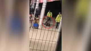 Poliţist filmat în timp ce înjură şi loveşte un bărbat bolnav, în faţa unui supermarket din Sălaj