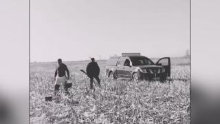 Un vrâncean a fost amenințat cu pușca de un așa-zis vânător, în timp ce aduna știuleți pe ogor: "Dacă te pui cu mine te împușc în cap"