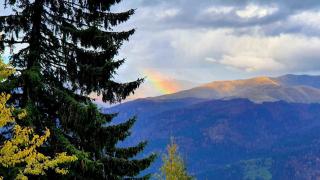 Schimbările bruşte de temperatură ne pot afecta sănătatea. În unele zone, a fost cel mai cald 4 noiembrie din ultimii 60 de ani