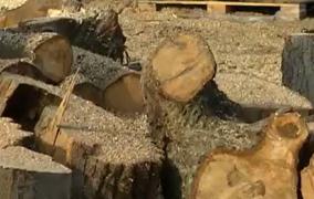 3,5 milioane de gospodării din România, care sunt încălzite cu lemne, trebuie să suporte un preţ aproape dublu faţă de anul trecut