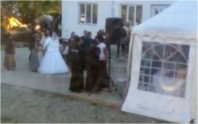 Imagini de la nunta fetiței de 12 ani, vândută de bunică unei familii de etnie romă. Reacția IPJ Mehedinți