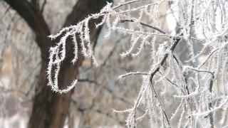 Vremea se schimbă drastic. Frigul pune stăpânire pe întreaga ţară: Ploi în mai toate regiunile, iar pe creste vor fi ninsori viscolite