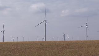 Casele verzi mai scumpe cu 30% decât cele clasice. Cum se amortizează însă investiţiile