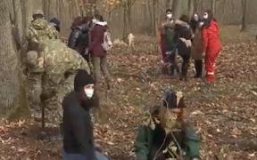 Sute de stejari au fost plantaţi în Parcul Natural Comana. Copacii pot fi adoptaţi contra unei donaţii