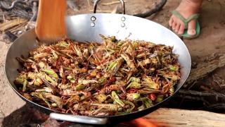 "E foarte delicios şi aromat". Lăcusta călătoare, un nou ingredient pe mesele românilor. Cum poate fi preparat noul produs