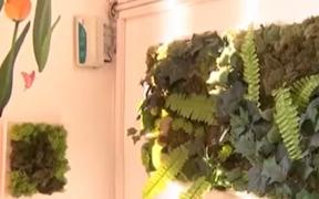 Sala de clasă cu cel mai curat aer, cea mai bună lumină şi acustică. Doi ingineri au făcut magie într-un liceu din Bucureşti