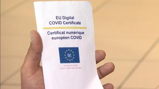 Parlamentarii se contrează pe certificatul verde, în timp ce România abia scapă de valul 4 și ar putea intra în valul 5, din februarie