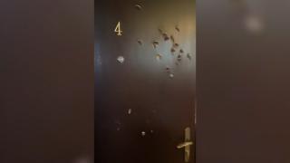 Petrecere pentru copii, "spartă" cu lovituri de topor în uşă, într-un bloc din Cluj. Familia a plecat din casă, dar poliţia nu a văzut niciun pericol