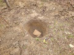 După o ceartă, o femeie a anunțat poliția că nepoata sa și-a îngropat bebelușul în curte