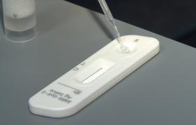 Haos şi amânări: Testele de salivă din şcoli vor putea fi folosite abia de pe 6 decembrie. Marea întrebare rămâne cine îi va testa pe copii